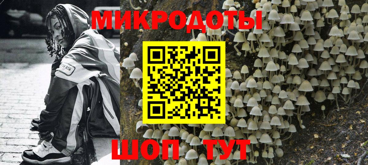 Лосино-Петровский  Псилоцибиновые грибы Psilocybe  Вход с VPN  Псилоцибиновые грибы мухоморы 