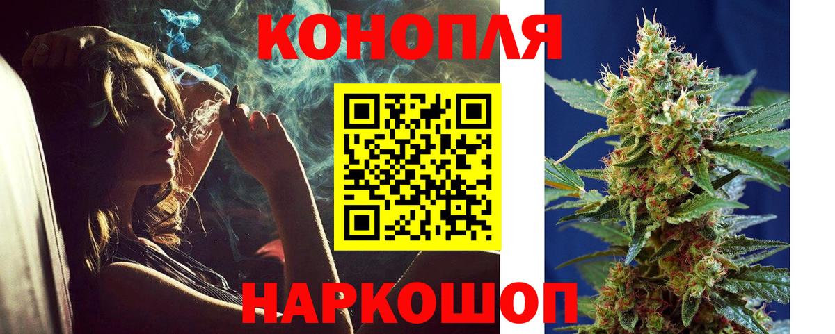 Канабис планчик Лосино-Петровский